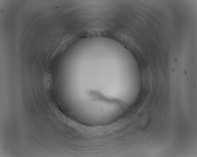 X0000077370038200611031922