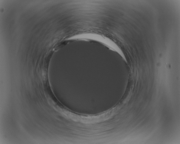 X0000077370039200611031922