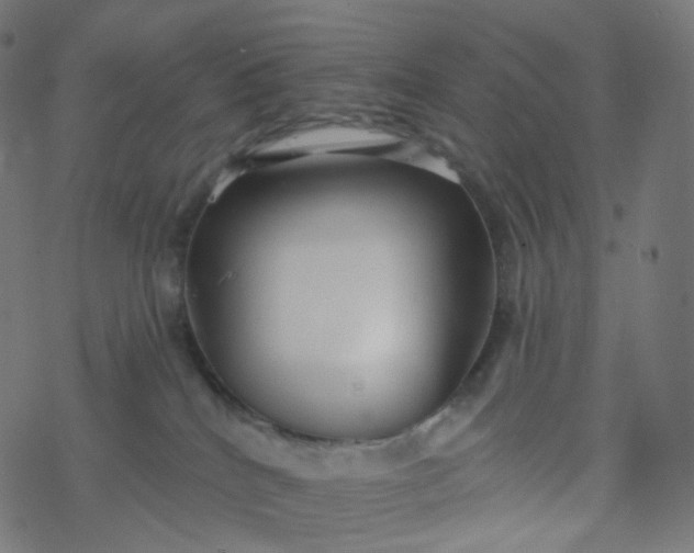 X0000077370040200611031922