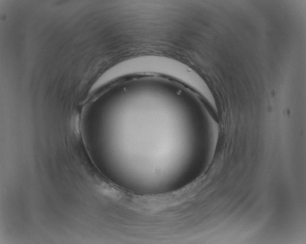 X0000077370041200611031922