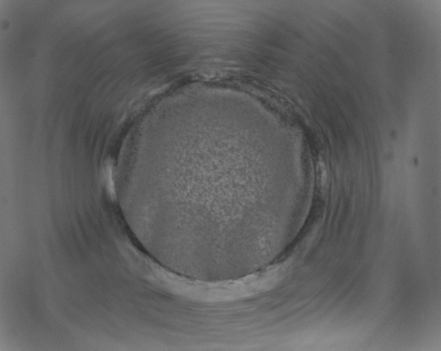 X0000077370042200611031922