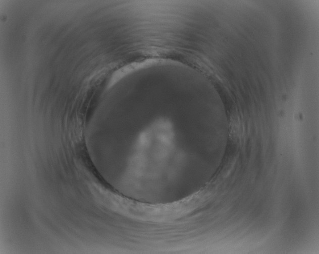 X0000077370043200611031922