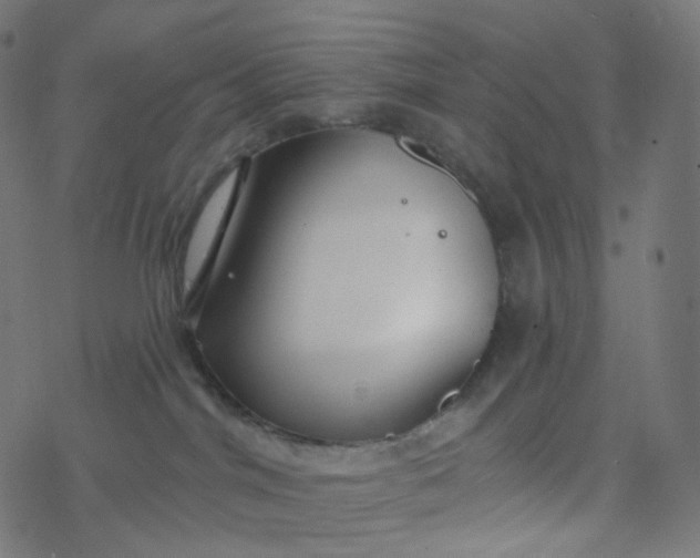 X0000077370044200611031922