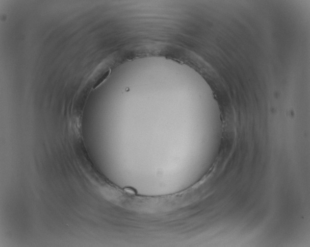 X0000077370045200611031922