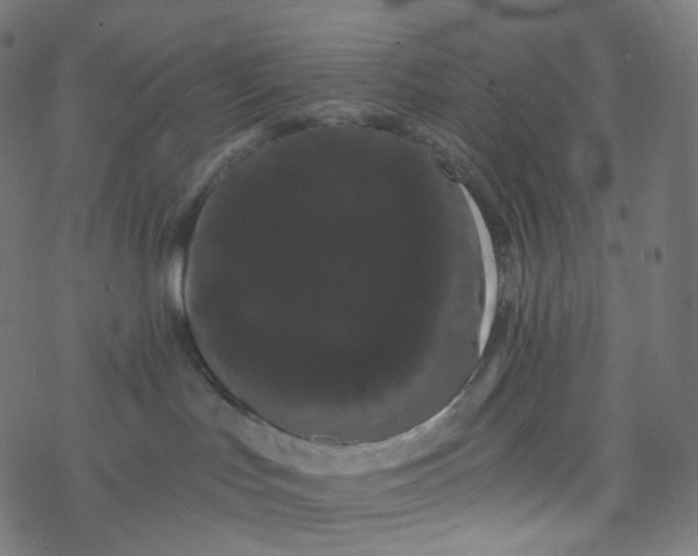 X0000077370047200611031922