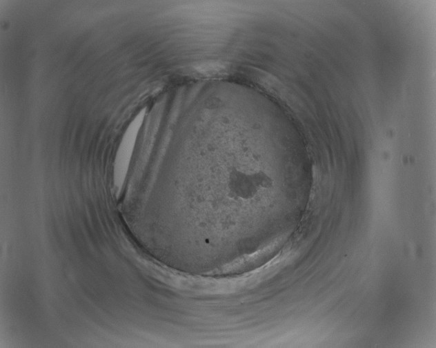 X0000077370048200611031922