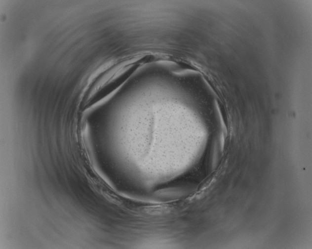 X0000077370050200611031921