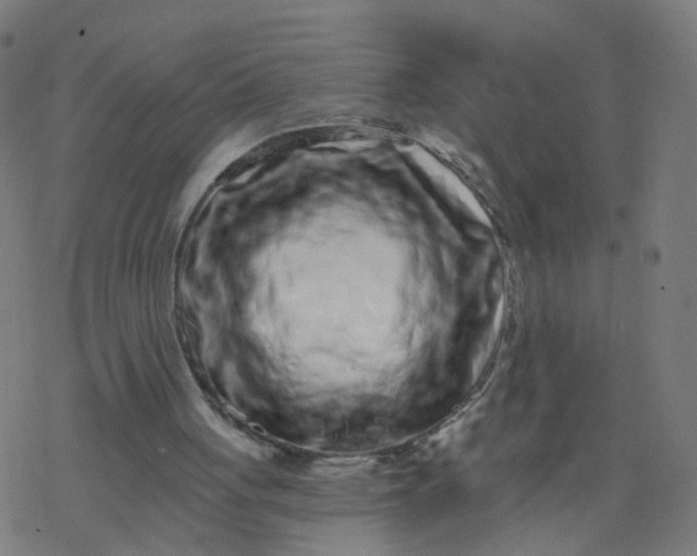 X0000077370051200611031921