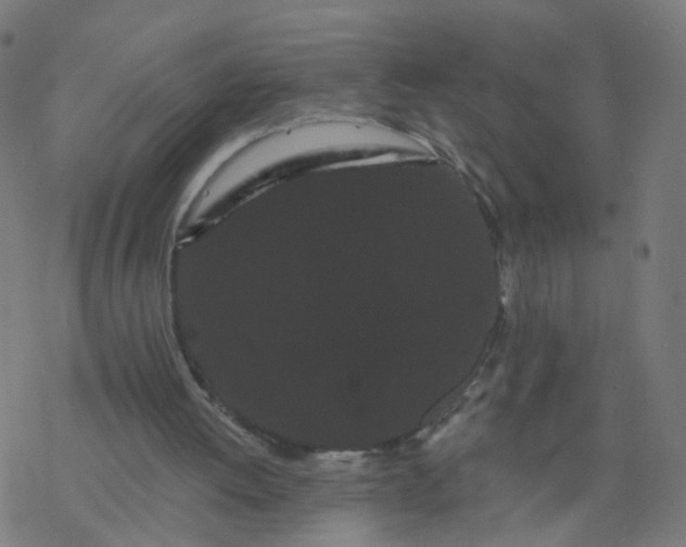 X0000077370052200611031921