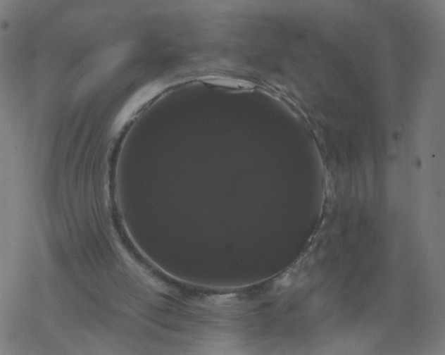 X0000077370054200611031921