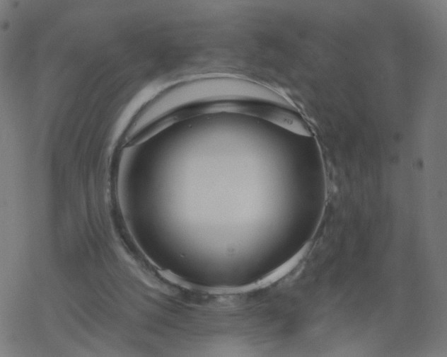 X0000077370056200611031921