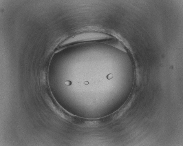 X0000077370057200611031921