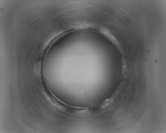 X0000077370058200611031921