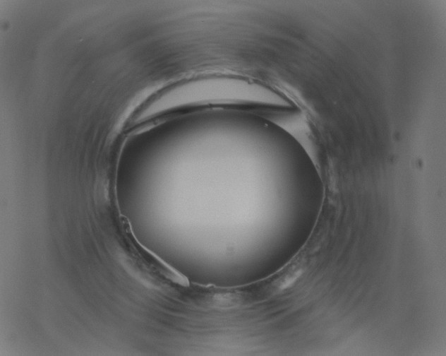 X0000077370060200611031921