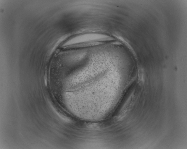 X0000077370062200611031922