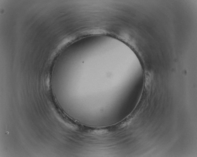 X0000077370063200611031922