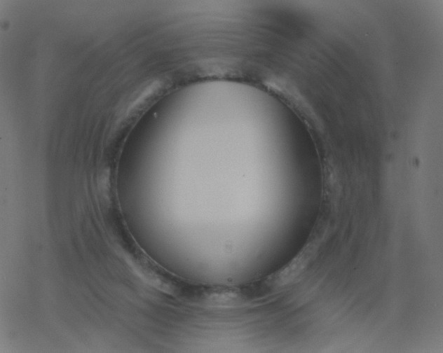 X0000077370066200611031922