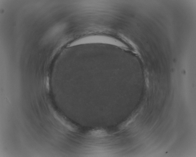 X0000077370067200611031922