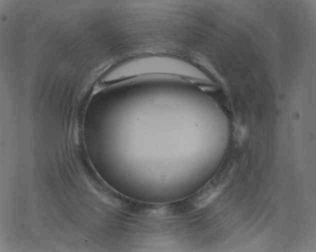 X0000077370068200611031922