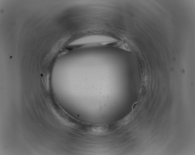 X0000077370070200611031922