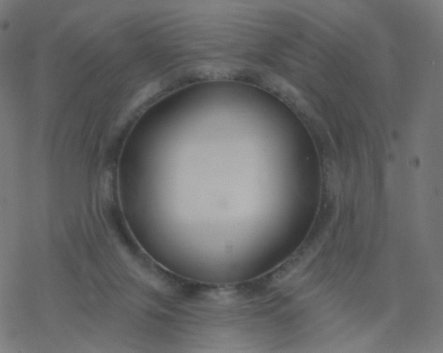 X0000077370071200611031922