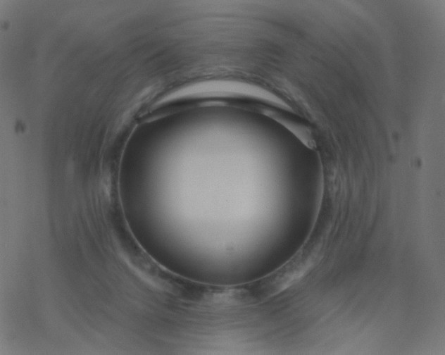 X0000077370072200611031922