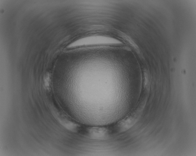 X0000077370073200611031922