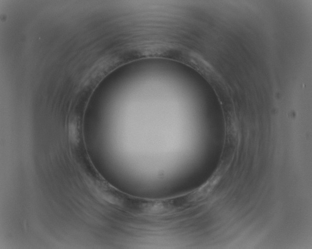 X0000077370074200611031922