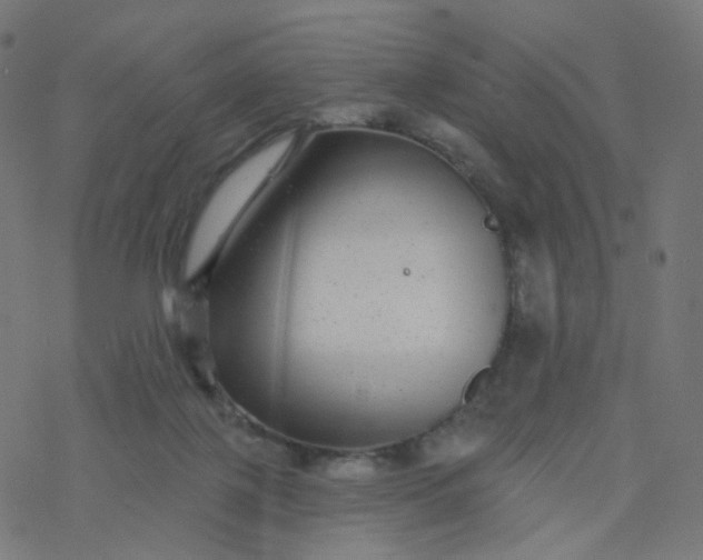 X0000077370075200611031922