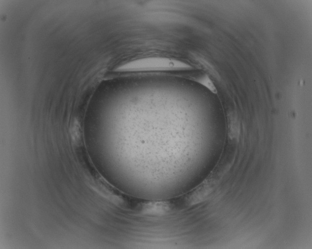 X0000077370077200611031922