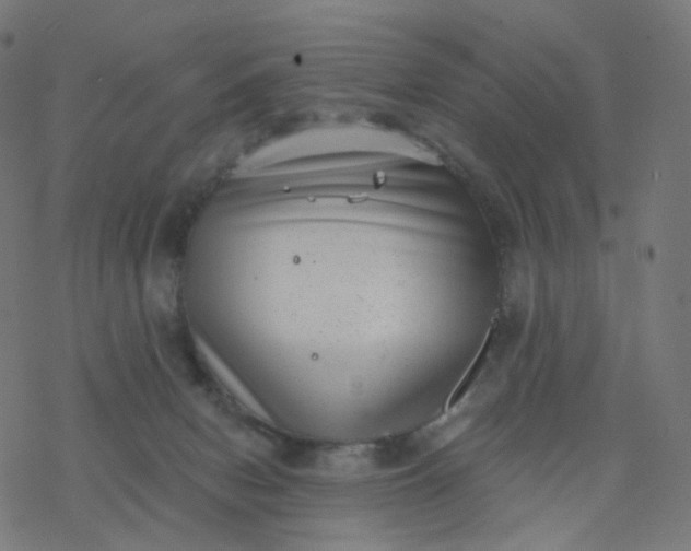 X0000077370078200611031922