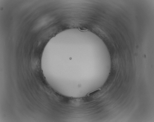 X0000077370079200611031922