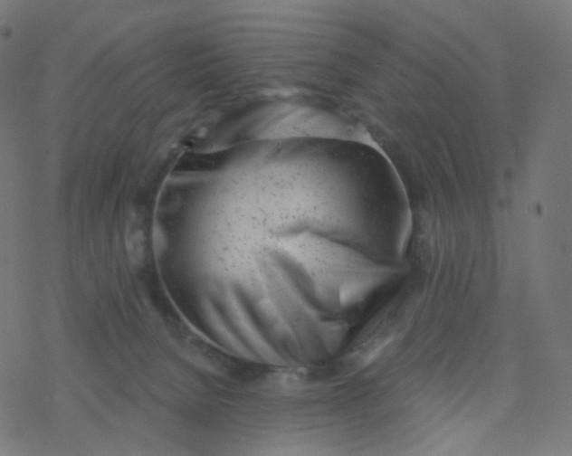 X0000077370080200611031922