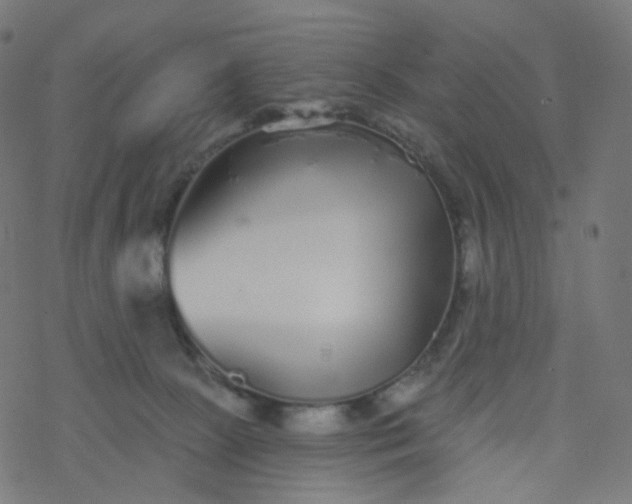 X0000077370081200611031922