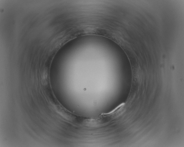 X0000077370082200611031922