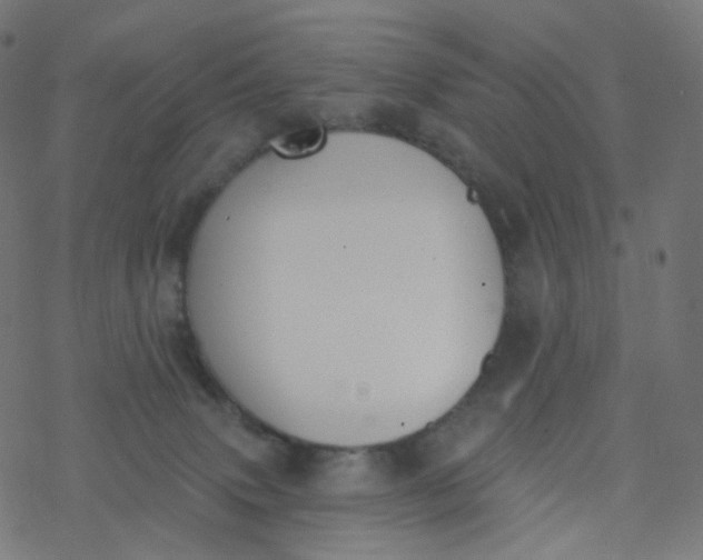 X0000077370083200611031922