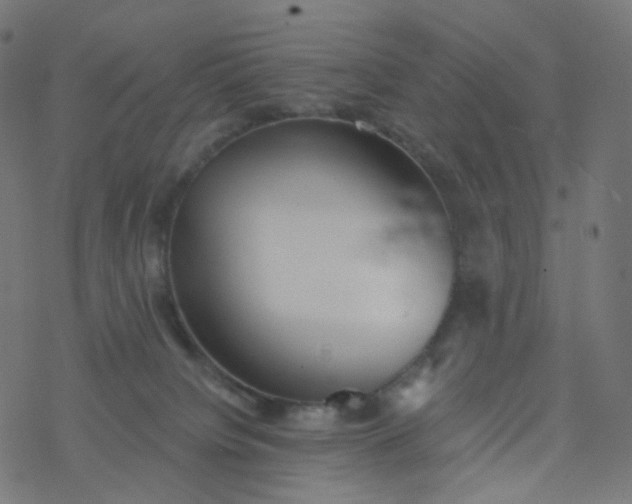 X0000077370084200611031922