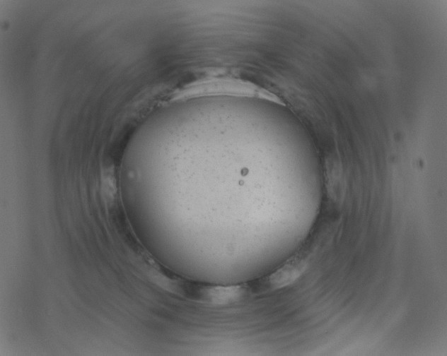 X0000077370085200611031922