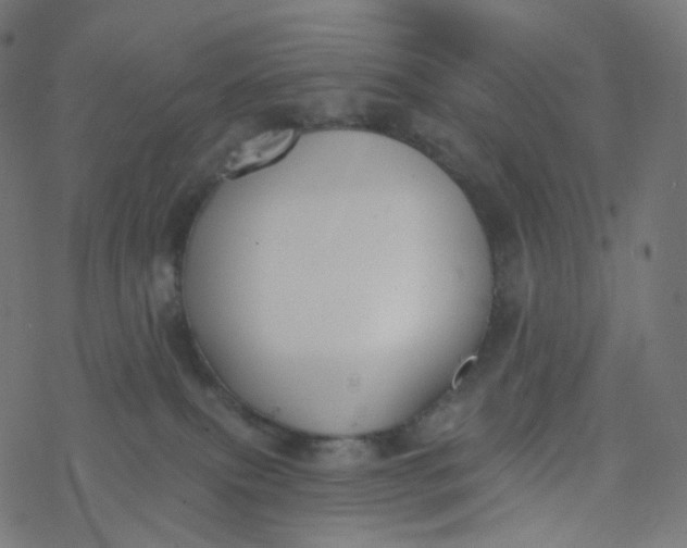 X0000077370087200611031922