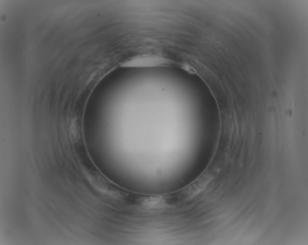 X0000077370088200611031922