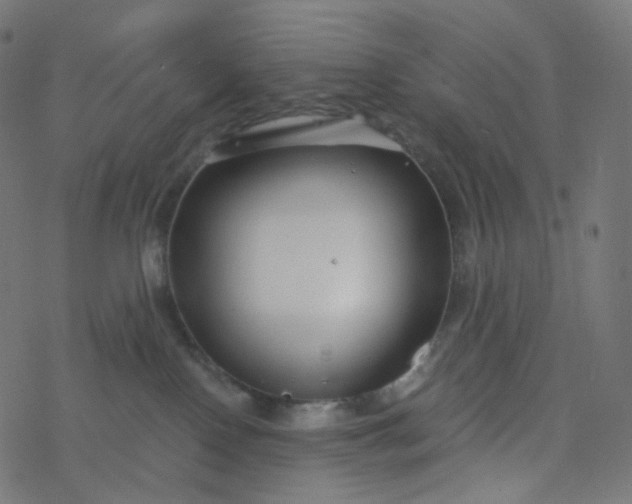 X0000077370090200611031922