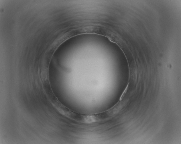 X0000077370091200611031922