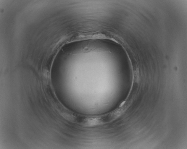 X0000077370093200611031922