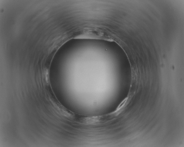 X0000077370094200611031922