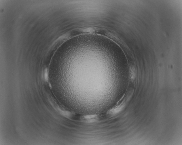 X0000077370095200611031922