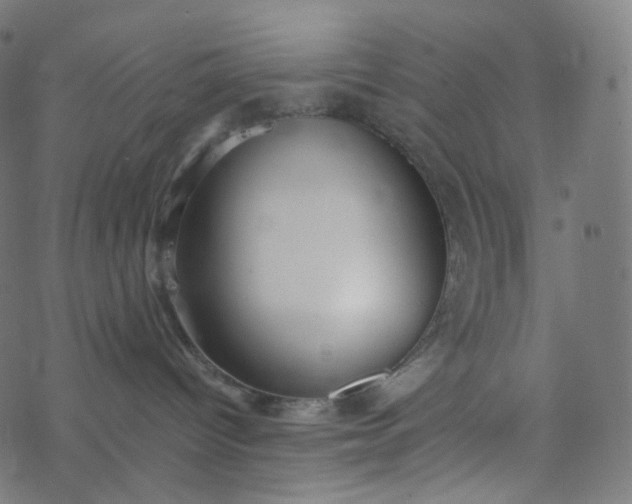 X0000077370096200611031922