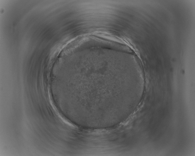 X0000077370097200611031921