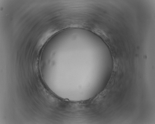 X0000077370098200611031921