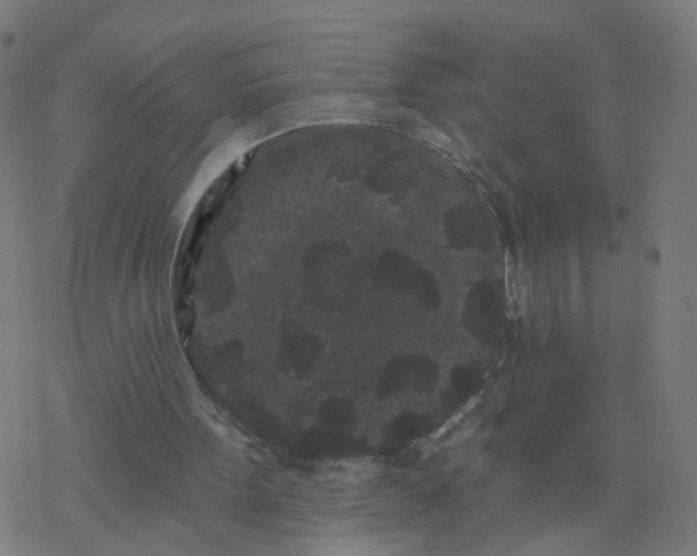 X0000077370099200611031921