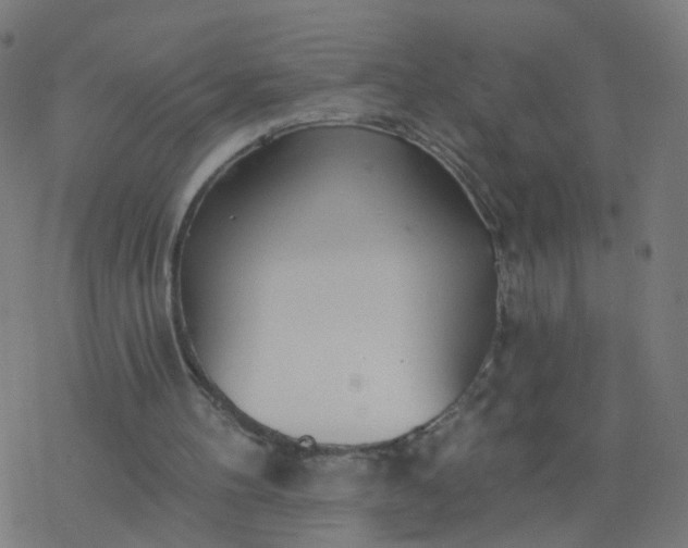 X0000077370100200611031921